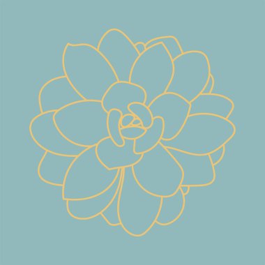 Doodle Succulent Çiçeği. Baskı ve tasarım için çöl çiçeği, desen. Hoş bir arkaplan. 