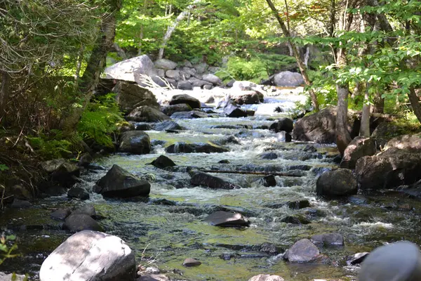 Doncaster nehri Sainte-Adele, Quebec, Kanada