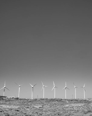 Tenerife 'de Kanarya Adası' nda Rüzgar tarım ekolojisi