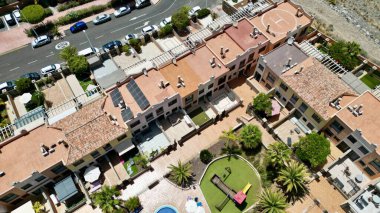 Yaralı Kanarya Adası Tenerife Güney İspanya Ağustos 2024