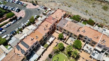 Yaralı Kanarya Adası Tenerife Güney İspanya Ağustos 2024