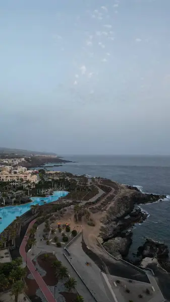 Yaralı Kanarya Adası Tenerife Güney İspanya Ağustos 2024