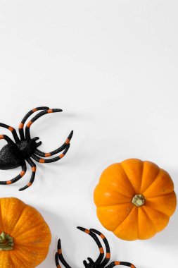 Beyaz arka planda Cadılar Bayramı örümcekleri ve balkabaklarının düzlüğü