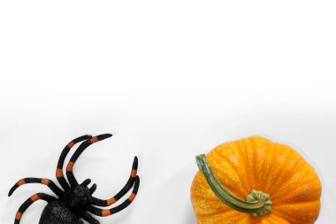 Beyaz arka planda Cadılar Bayramı örümceği ve balkabağı yatıyordu