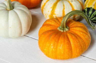 Balkabaklarını beyaz ahşap yüzeye düşür