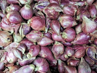 Piyasada arpacık soğanı grubu