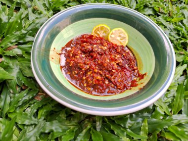 Terasi sambal, çimen arka planlı yeşil bir kasede bulunan tipik bir Endonezya sambali..