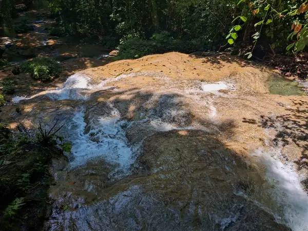 Saluopa Şelalesi: Merkez Sulawesi Ormanı 'nın Kalbine yerleştirilmiş 12 Sersemletici ve Kristal Açıklığı Şelalesi