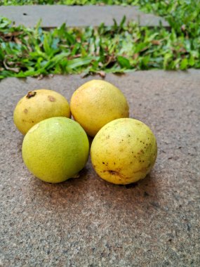 Bahçede kaya arka planlı yerel limon