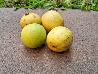 Bahçede kaya arka planlı yerel limon