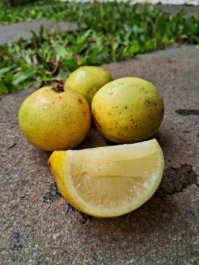 Bahçede kaya arka planlı yerel limon