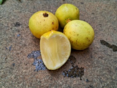 Bahçede kaya arka planlı yerel limon