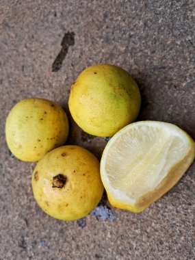 Bahçede kaya arka planlı yerel limon