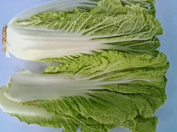 Beyaz arka planda beyaz lahana