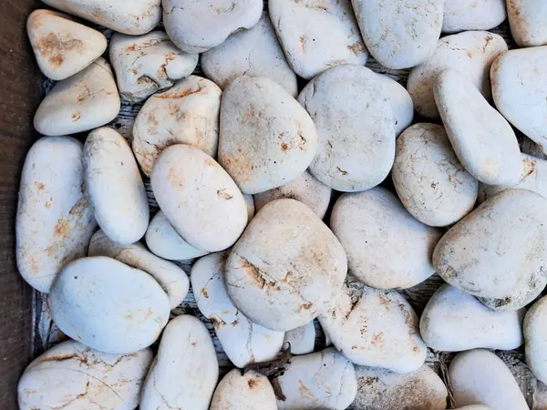 Tropikal evler, kafeler, restoranlar ve ticari binalardaki dış ve manzara alanlarında kaldırım yapmak için küçük beyaz taş malzemeler