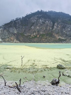 Sülfür gölünün büyüleyici manzarası ve Bandung, Kawah Putih 'deki ahşap yürüyüş yolu. Bu volkanik krater gölü, engebeli tepeler ve uçurumlarla çevrili, eşsiz ve başka dünyalara ait bir manzara yaratır..