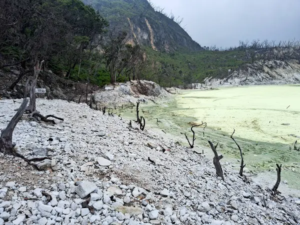 Sülfür gölünün büyüleyici manzarası ve Bandung, Kawah Putih 'deki ahşap yürüyüş yolu. Bu volkanik krater gölü, engebeli tepeler ve uçurumlarla çevrili, eşsiz ve başka dünyalara ait bir manzara yaratır..