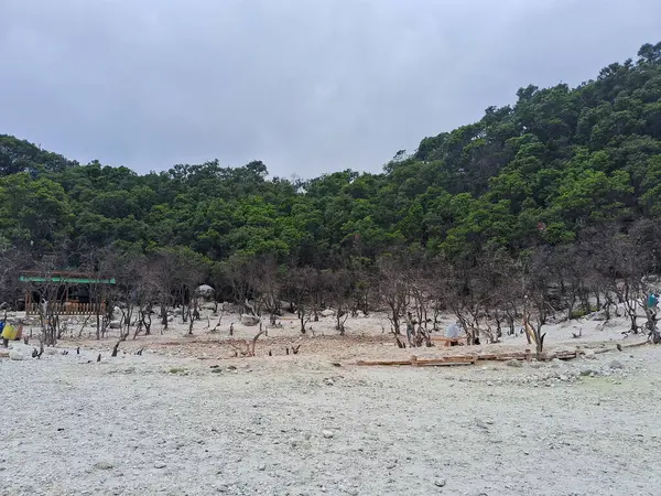 Sülfür gölünün büyüleyici manzarası ve Bandung, Kawah Putih 'deki ahşap yürüyüş yolu. Bu volkanik krater gölü, engebeli tepeler ve uçurumlarla çevrili, eşsiz ve başka dünyalara ait bir manzara yaratır..