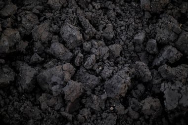 Çeltik tarlası toprağının dokusu. Arkaplan olarak kuru toprak dokusu