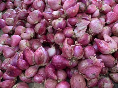 Kırmızı soğanı yaklaştır. Seçici odaklanma