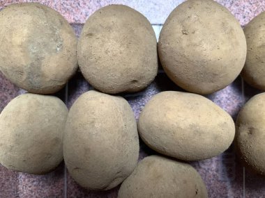 Patates ya da Solanum tuberosum L. Hasat ev sahibi çiftçilik bahçeleri ile sonuçlanır.