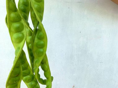 Kokuşmuş fasulye ya da Parkia Specosa Hassk beyaz arka planda izole edilmiş. Taze sebze.