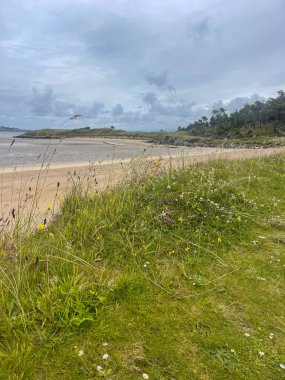 Plaj Rüzgarlı Sanatlar Ormanı