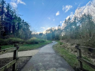 Monkstown Orman Yolu Newtown Manastırı