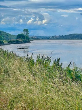 Carlingford Lough Yürüyüş Yaz Günü