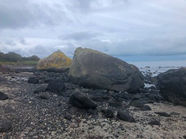 Robin 'in Asfalt Yolu' ndaki Yumurta Taşları