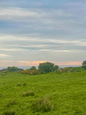 Pembe Gök Murlough Körfezi