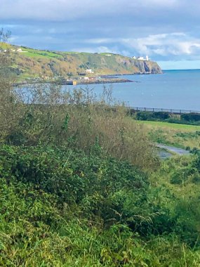 View to Lighthouse at Whitehead clipart