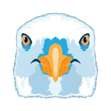 martı yüz vektör çizimi, t-shirt tasarımı için mükemmel