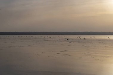 Sonbaharda nehrin üzerinde güzel bir gün batımı