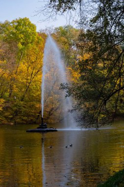 Parkın güzel manzarası. Sonbaharda güzel Sofievka Parkı 'nda gölün ortasında bir çeşme..