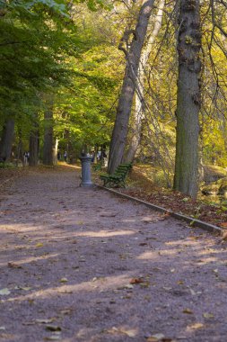 Ağaçlar ve bitkilerle dolu güzel bir manzara. Sonbaharda Ukrayna 'daki Sofievka Parkı.