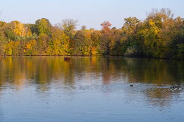 Sonbahar yaprakları, sonbahar çiçekleri. Ağaçlar ve yapraklarla dolu güzel sonbahar manzarası..