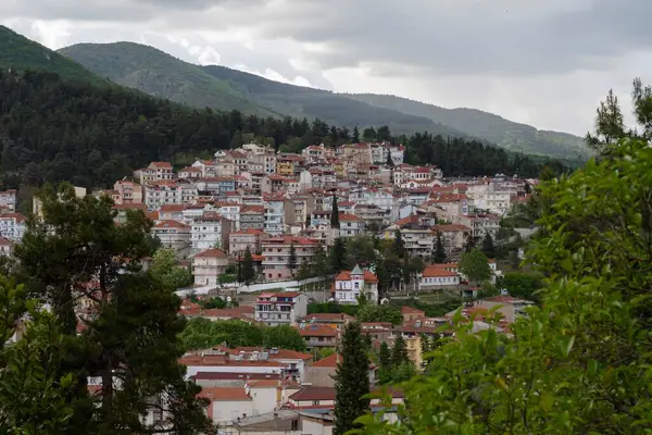 Suda yüzen güzel yılanın yakın plan fotoğrafı.