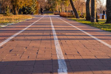 Kış akşamının erken saatlerinde parkta boş bir bisiklet yolu. Parktaki yürüyüş yolunun bir görüntüsü..