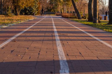Kış akşamının erken saatlerinde parkta boş bir bisiklet yolu. Parktaki yürüyüş yolunun bir görüntüsü..