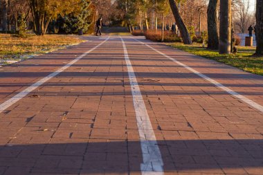 Kış akşamının erken saatlerinde parkta boş bir bisiklet yolu. Parktaki yürüyüş yolunun bir görüntüsü..