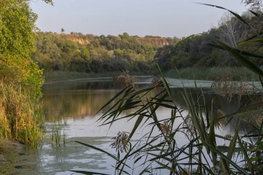 Şafakta nehir ve ormanın olduğu güzel sonbahar manzarası.