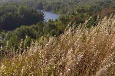 Uzun otlarla dolu sonbahar manzarası. Sonbahar sabahı tepeden Vorskla Nehri 'nin manzarası.