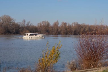 Belgrad 'daki Sava nehrinin kışın güzel manzarası. Ilıman iklimde kış manzarası. Nehir kıyısındaki sıcak bir kış daya küçük teknesinde yatlar. Şehir seti.