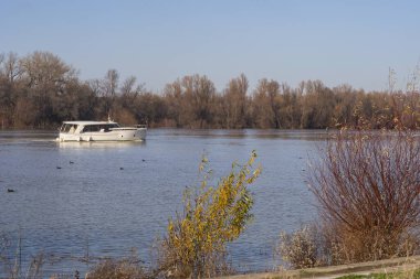 Belgrad 'daki Sava nehrinin kışın güzel manzarası. Ilıman iklimde kış manzarası. Nehir kıyısındaki sıcak bir kış daya küçük teknesinde yatlar. Şehir seti.