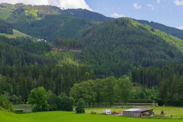 Bavyera 'nın güzel dağ manzarası. Vadide yemyeşil çimenli tarlalar.