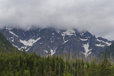 Polonya 'nın bulutlu havasında Tatra Dağları manzarası. Dağ manzarası.