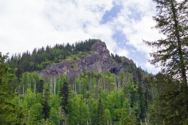 Polonya 'daki Tatra Dağları' nın zirvelerinin manzarası. Dağlı ve bulutlu güzel bir manzara..