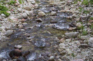Ormanda dağ nehri akıyor. Dağlardaki kayaların ve kayaların arasından akan nehir.