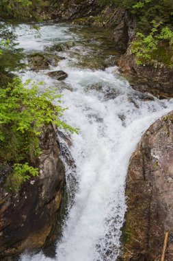 Ormandaki güzel dağ şelalesi. Şelaleli dağ manzarası.